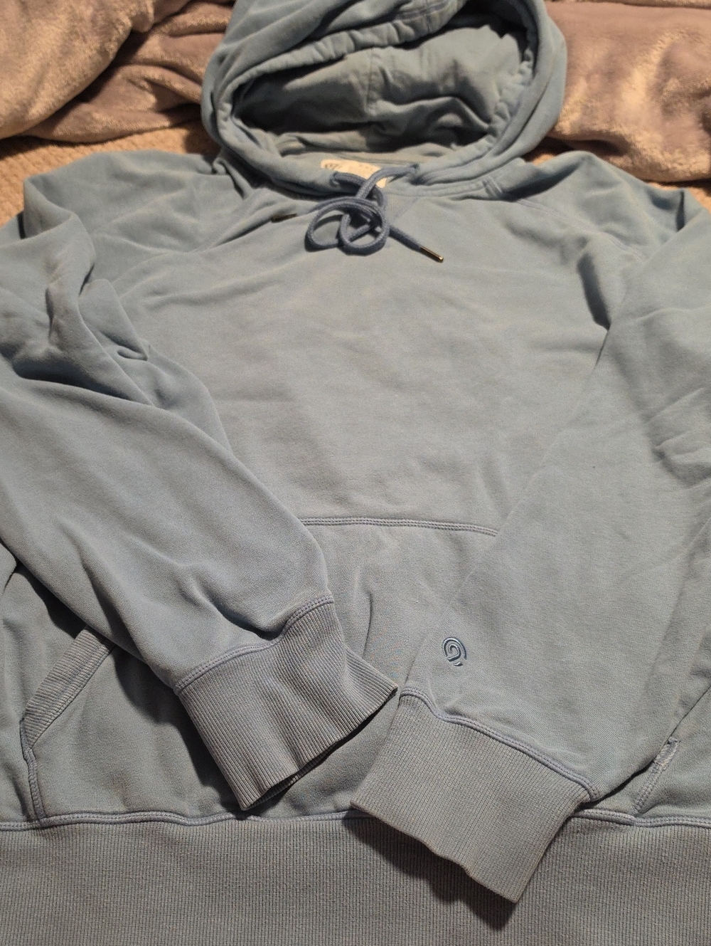 Champion Light Blue Pullover Hoodie with Subtle Logo